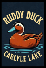 Ruddy Duck